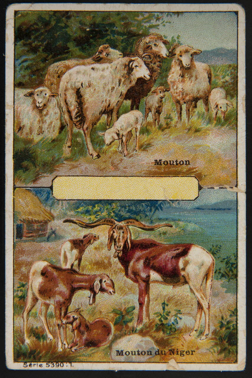 carte réclame chromo 1995.1.4010.1 Photo