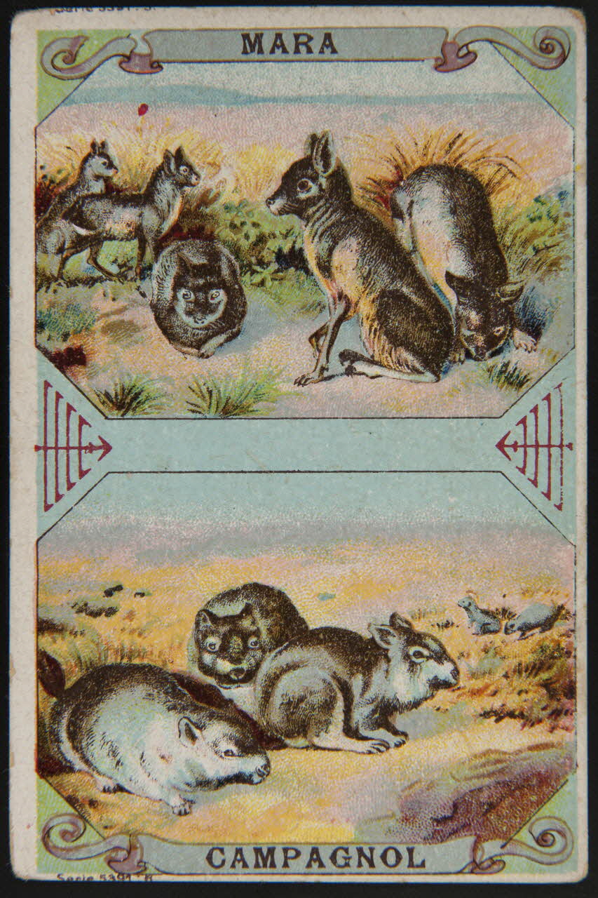 carte réclame chromo 1995.1.4011.2 Photo