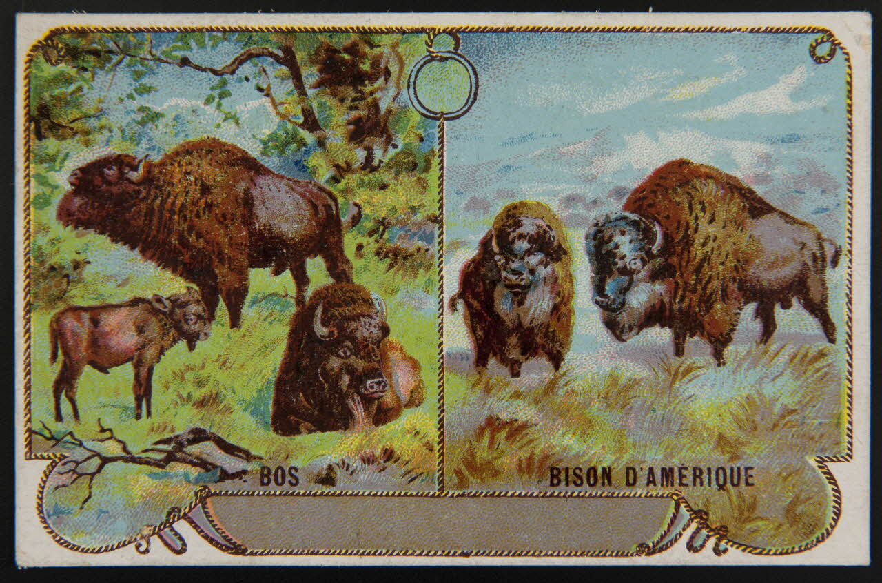 carte réclame chromo 1995.1.4013.1 Photo