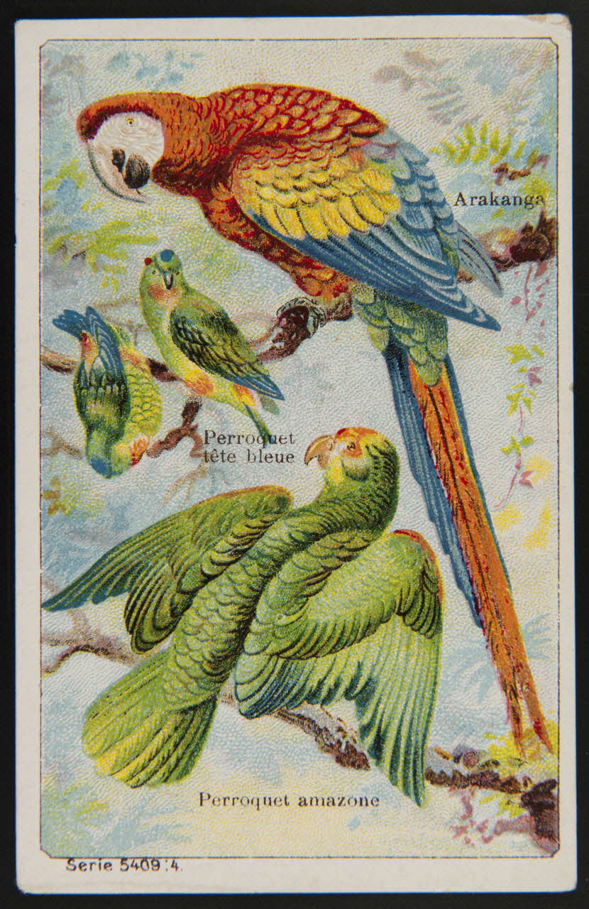 carte réclame chromo 1995.1.4014.1 Photo