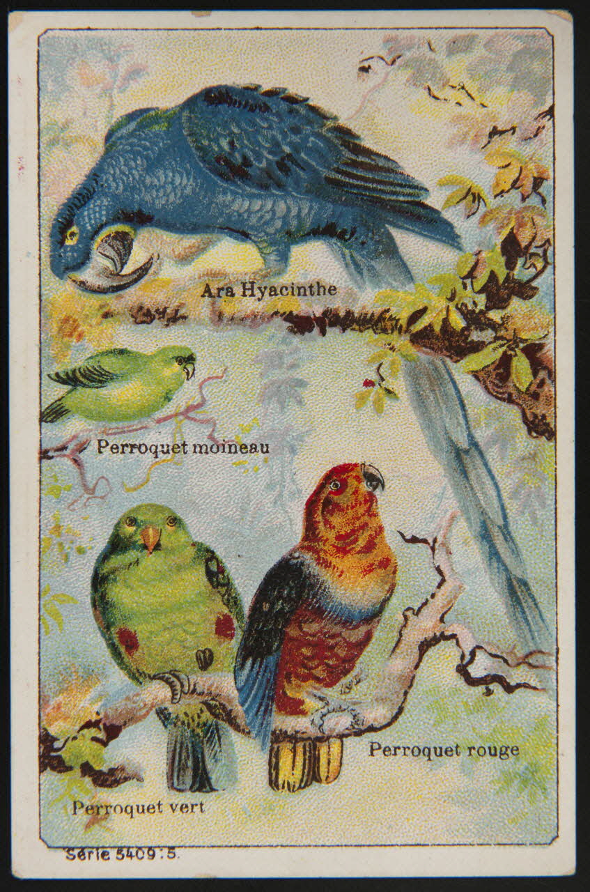 carte réclame chromo 1995.1.4014.2 Photo