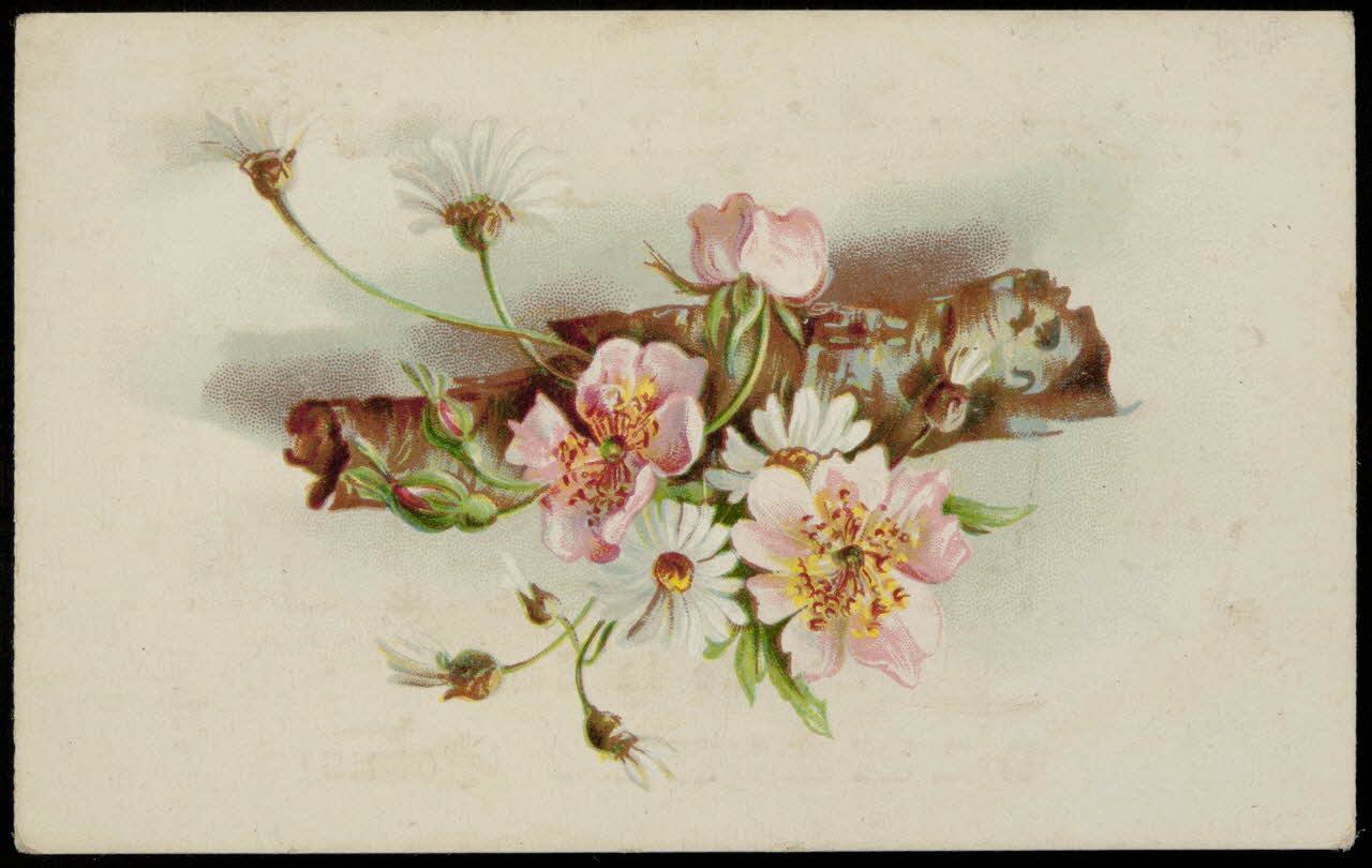 carte réclame chromo 1995.1.4074.2 Photo