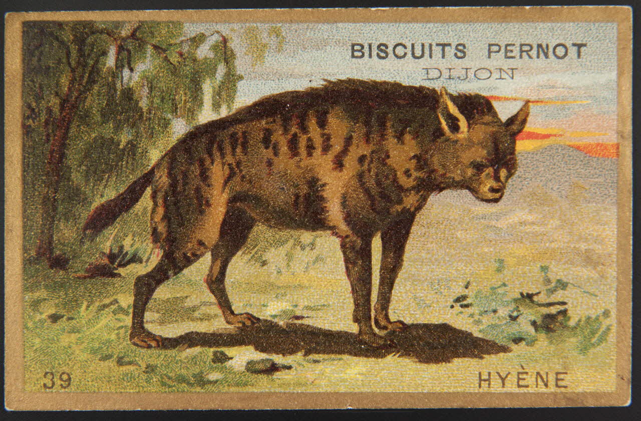 carte réclame chromo 1995.1.4251.10 Photo