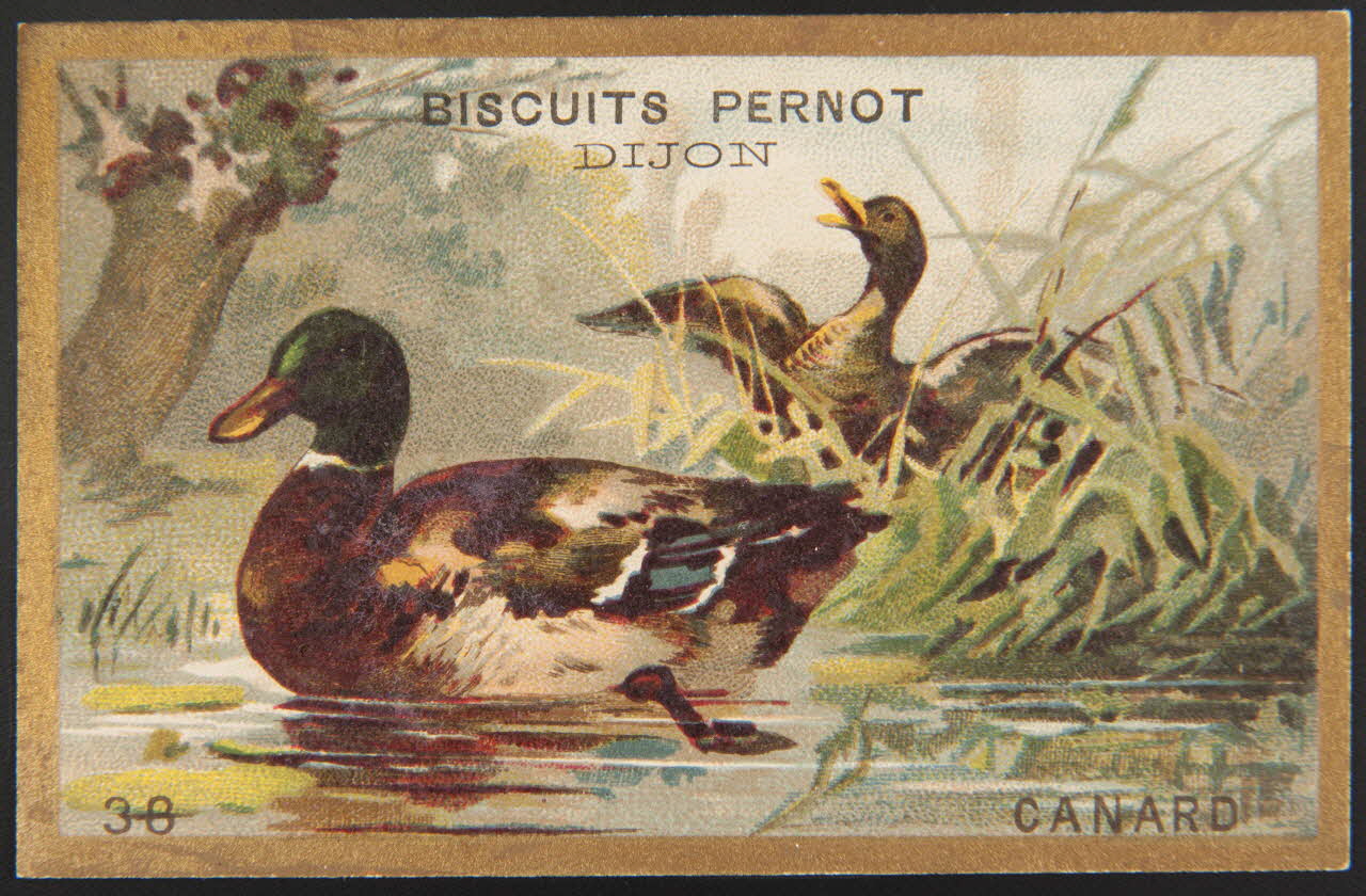 carte réclame chromo 1995.1.4251.12 Photo
