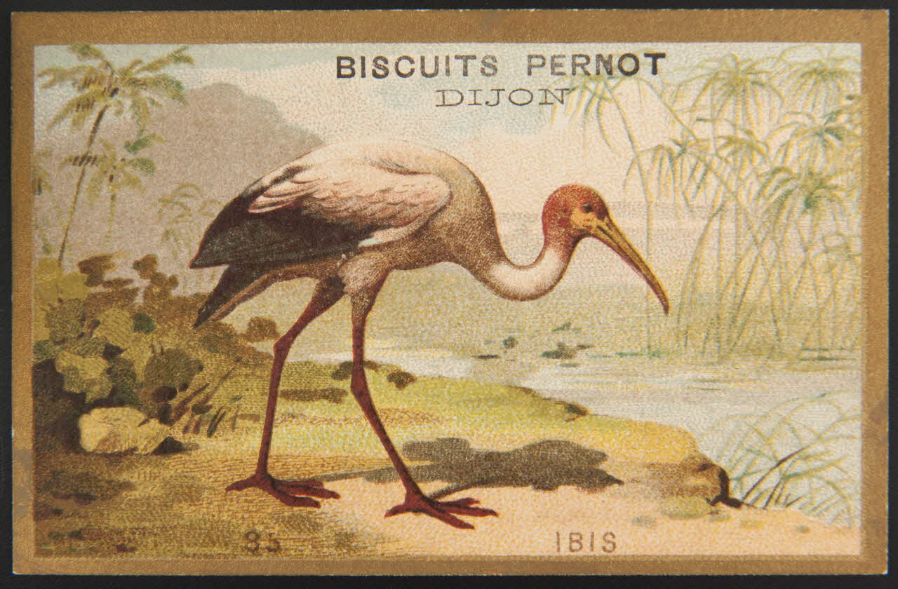 carte réclame chromo 1995.1.4251.13 Photo