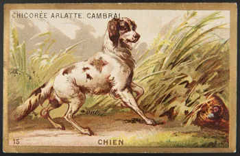 carte réclame chromo 1995.1.4251.18 Photo