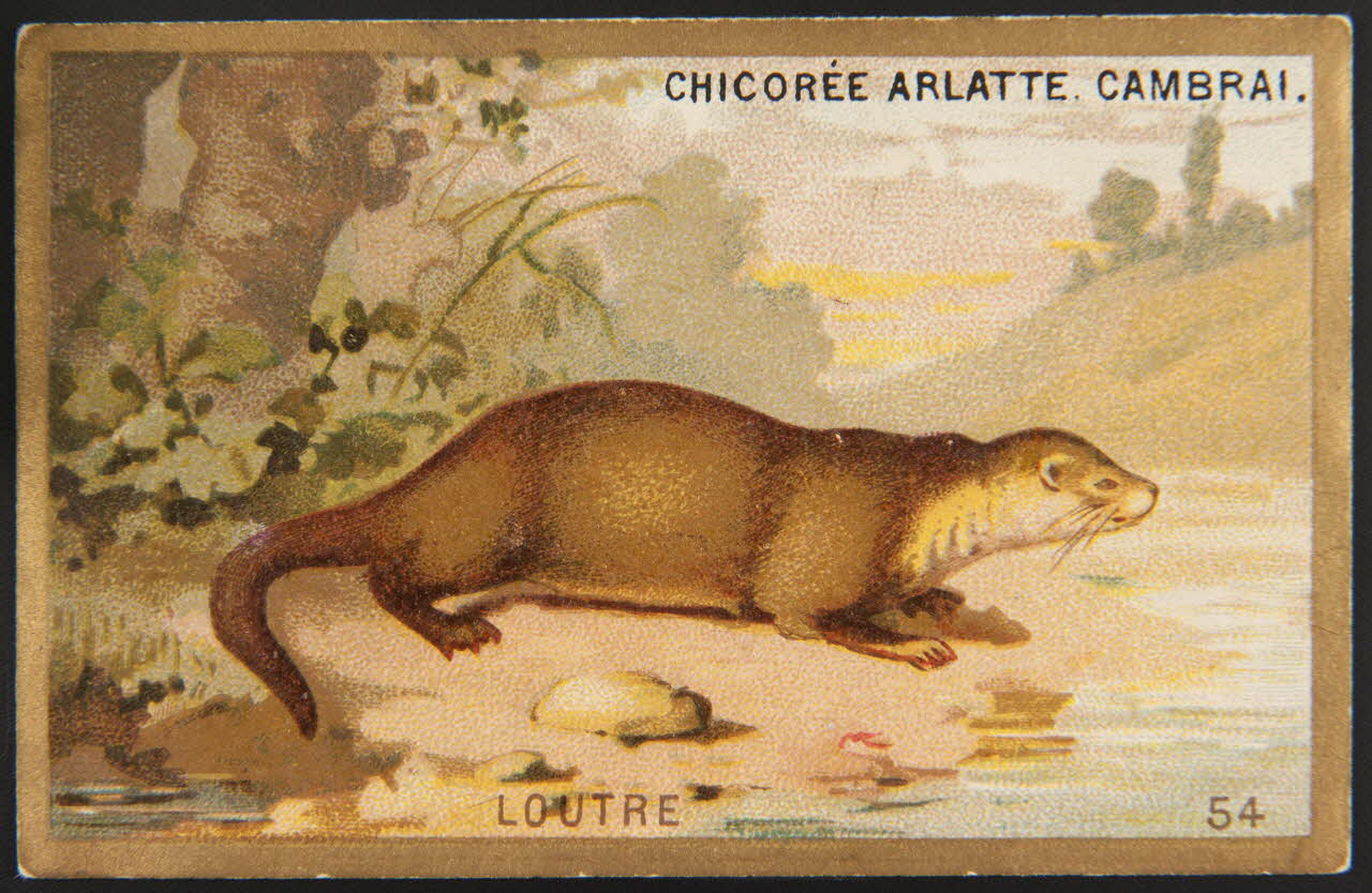 carte réclame chromo 1995.1.4251.19 Photo