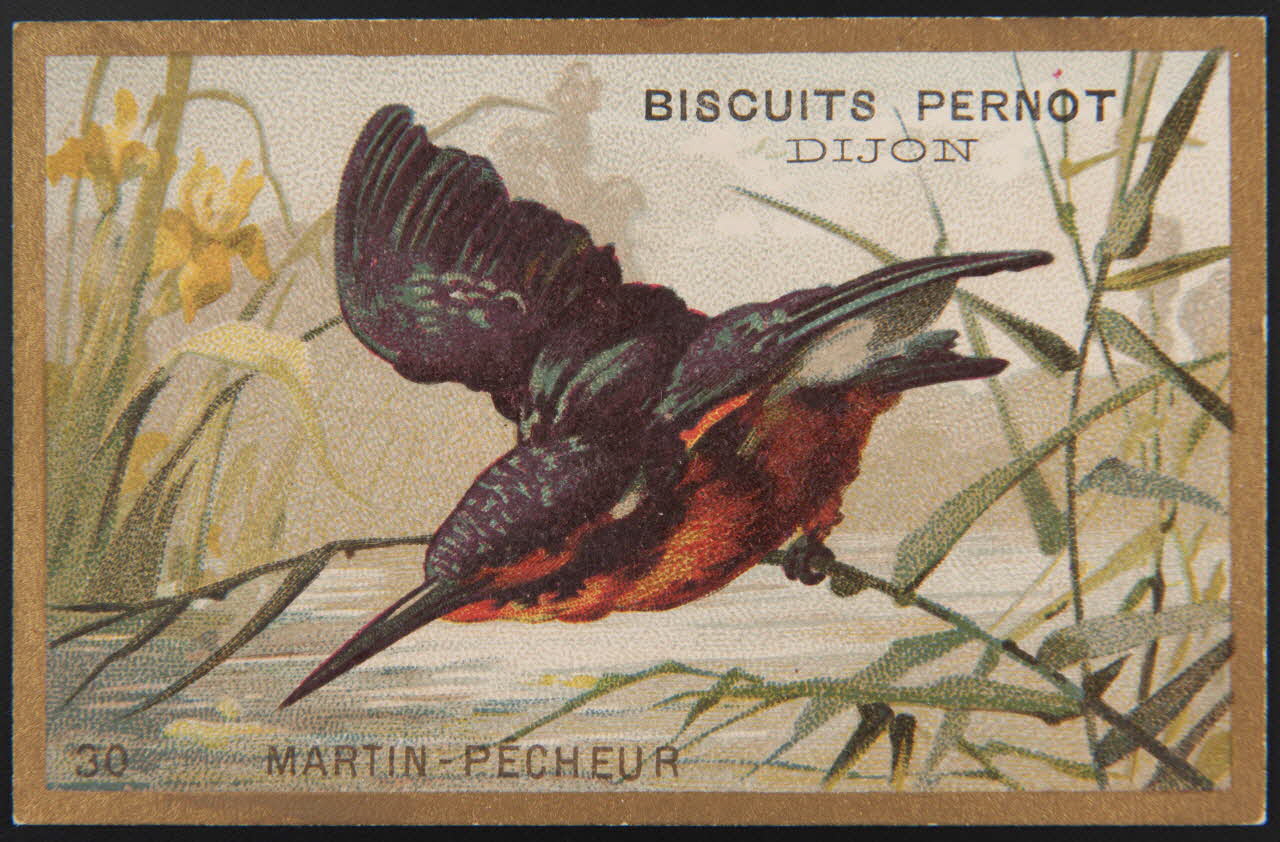 carte réclame chromo 1995.1.4251.2 Photo