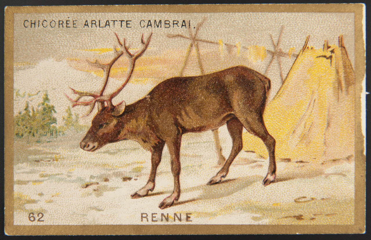 carte réclame chromo 1995.1.4251.21 Photo