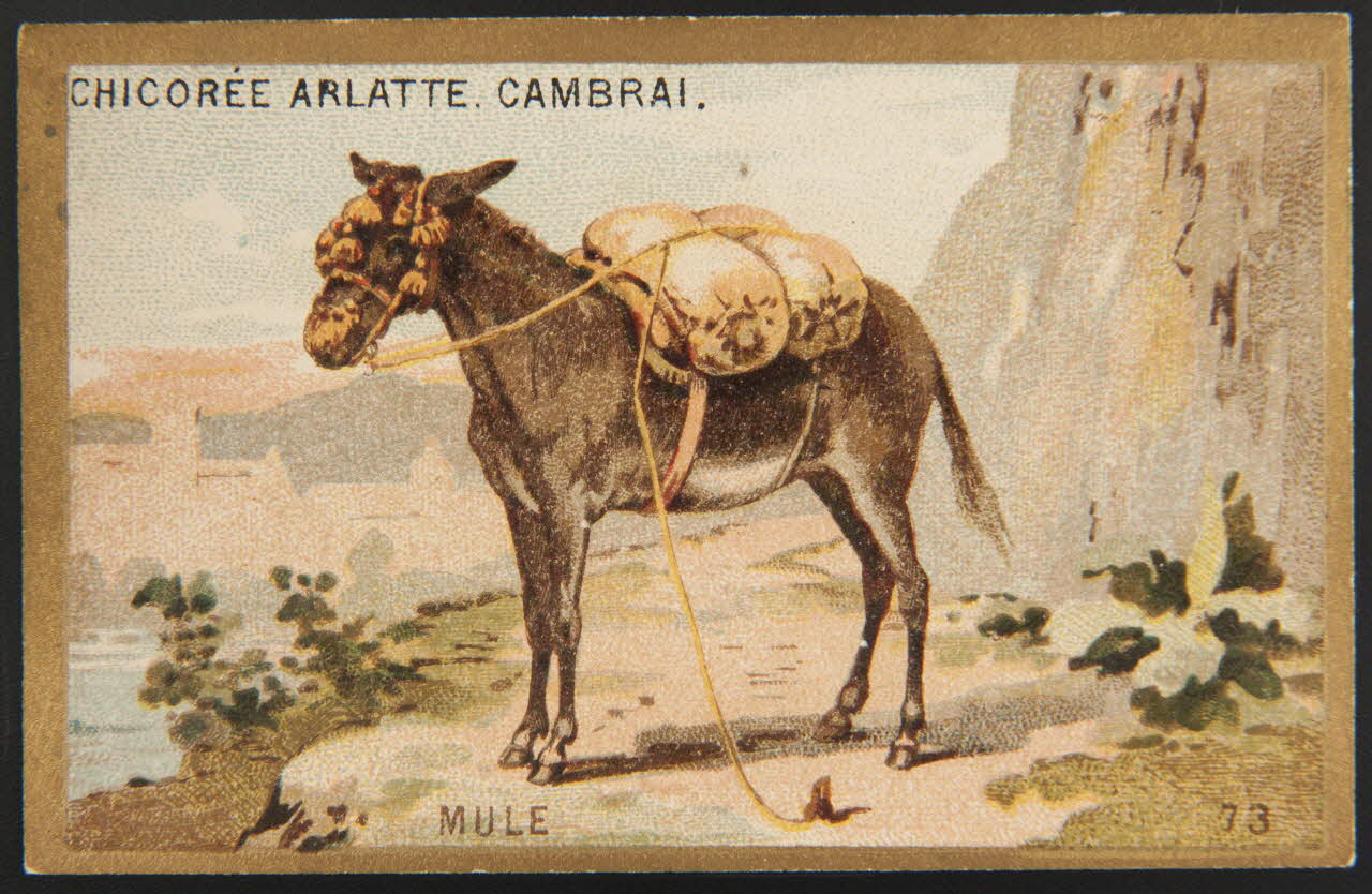 carte réclame chromo 1995.1.4251.23 Photo