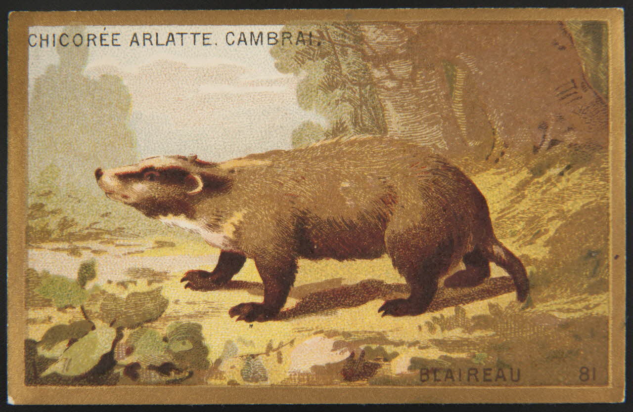 carte réclame chromo 1995.1.4251.25 Photo