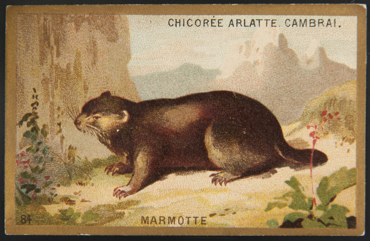 carte réclame chromo 1995.1.4251.26 Photo