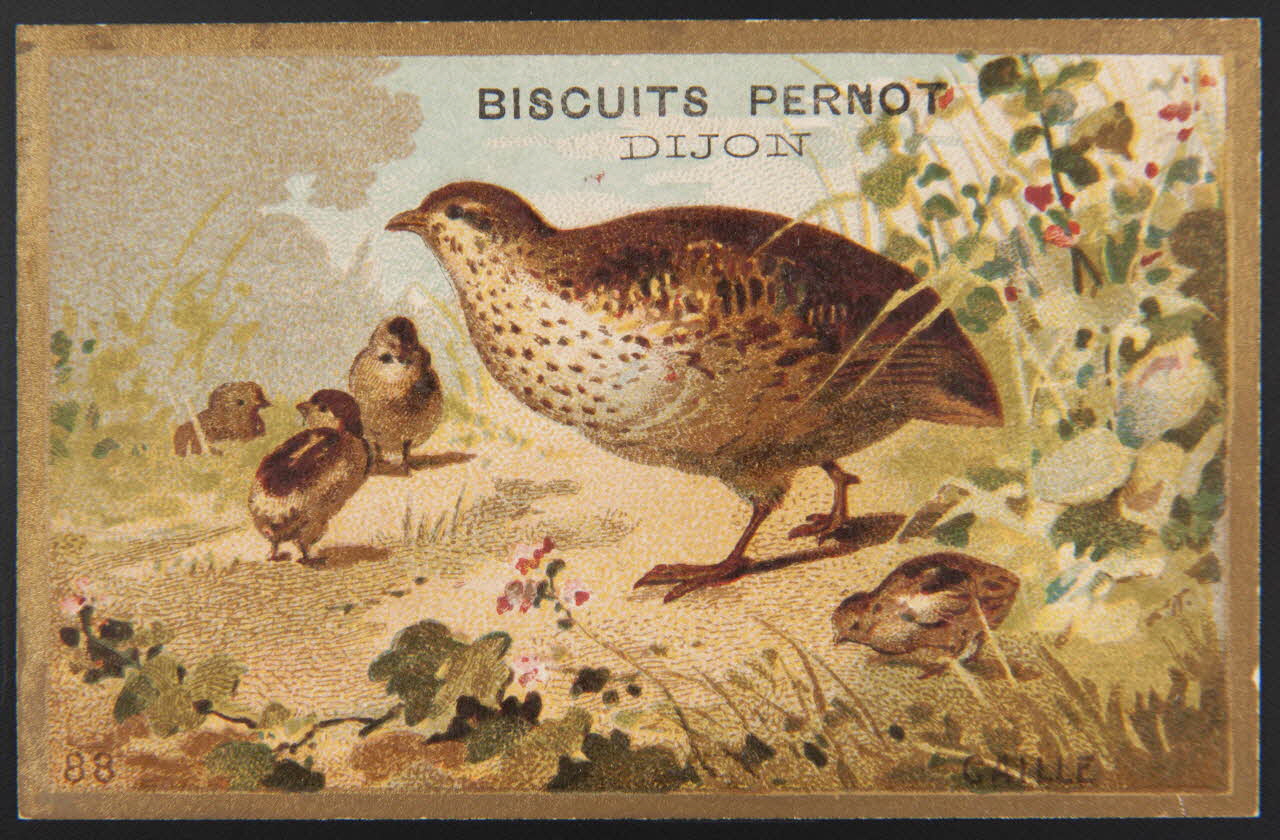 carte réclame chromo 1995.1.4251.3 Photo