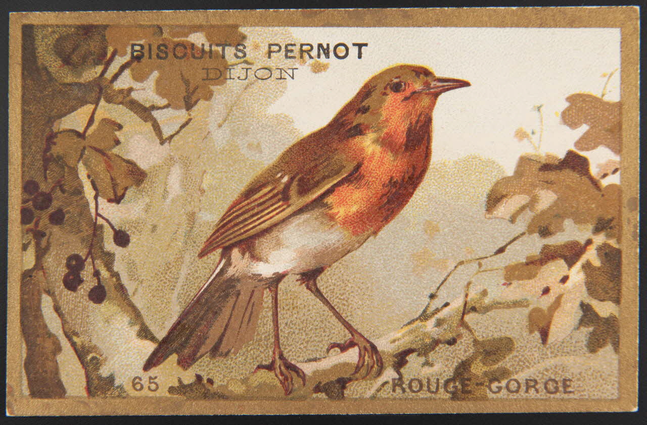 carte réclame chromo 1995.1.4251.5 Photo