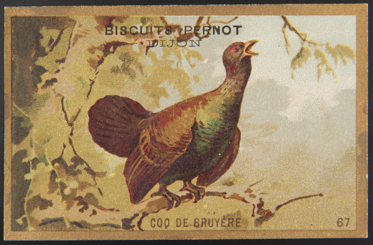 carte réclame chromo 1995.1.4251.7 Photo