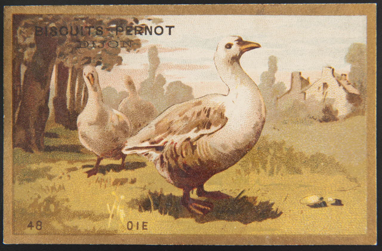 carte réclame chromo 1995.1.4251.8 Photo