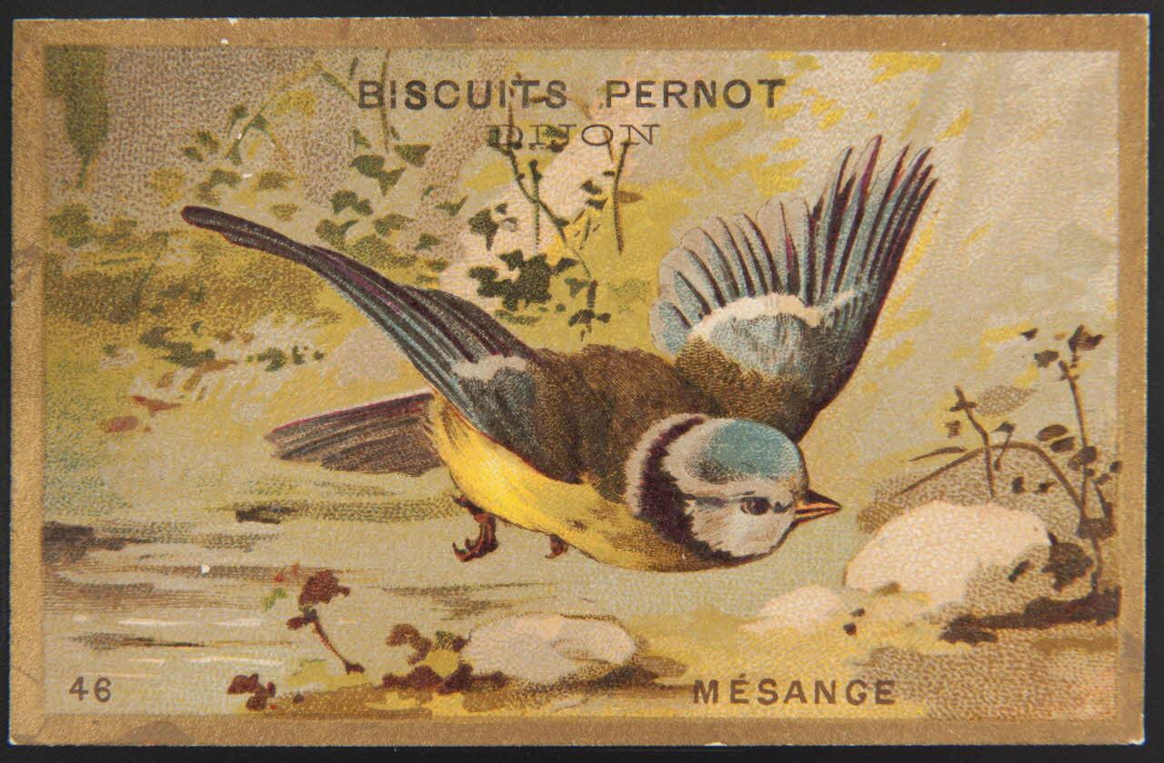 carte réclame chromo 1995.1.4251.9 Photo