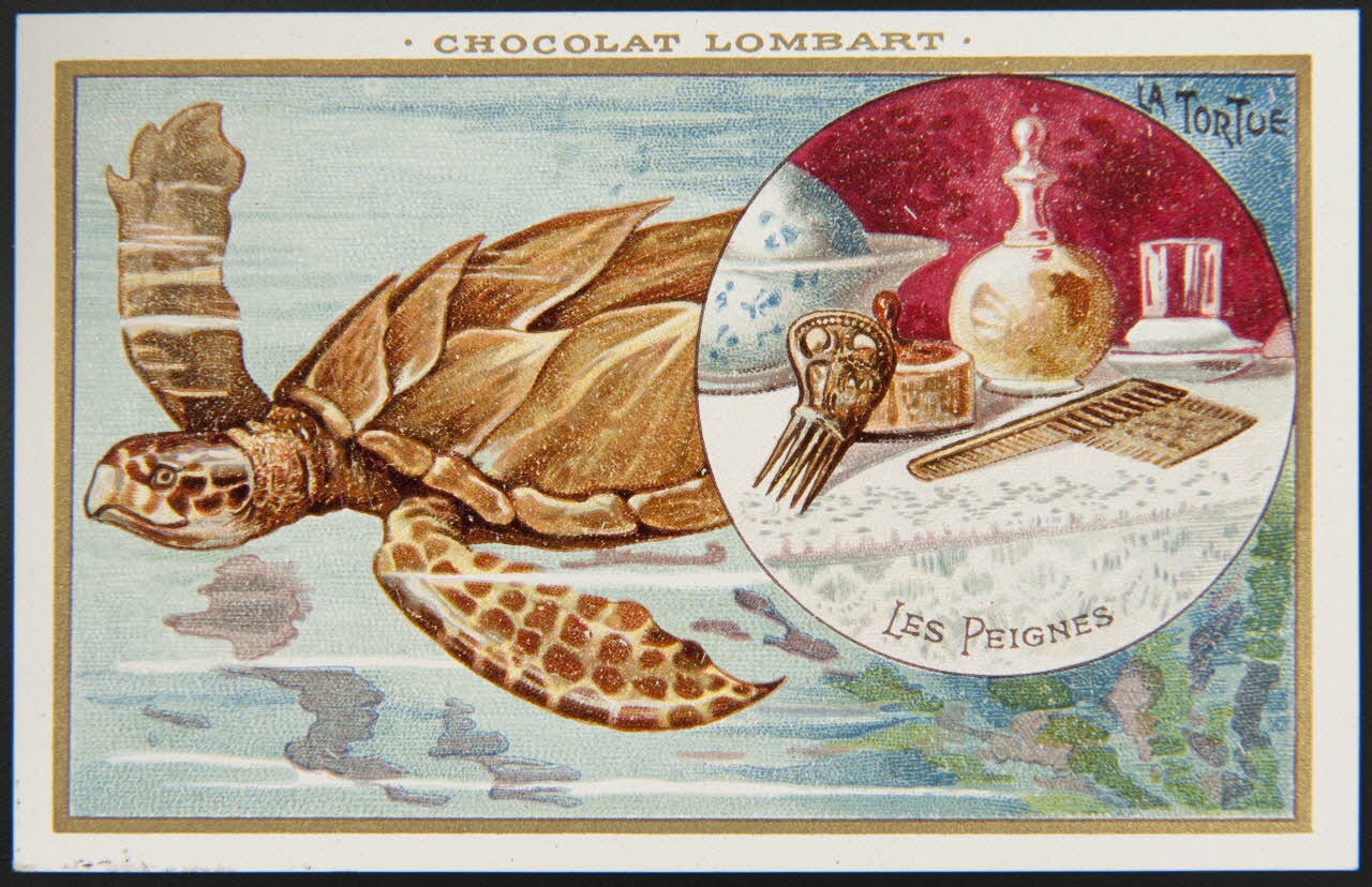 carte réclame chromo 1995.1.4252.10 Photo