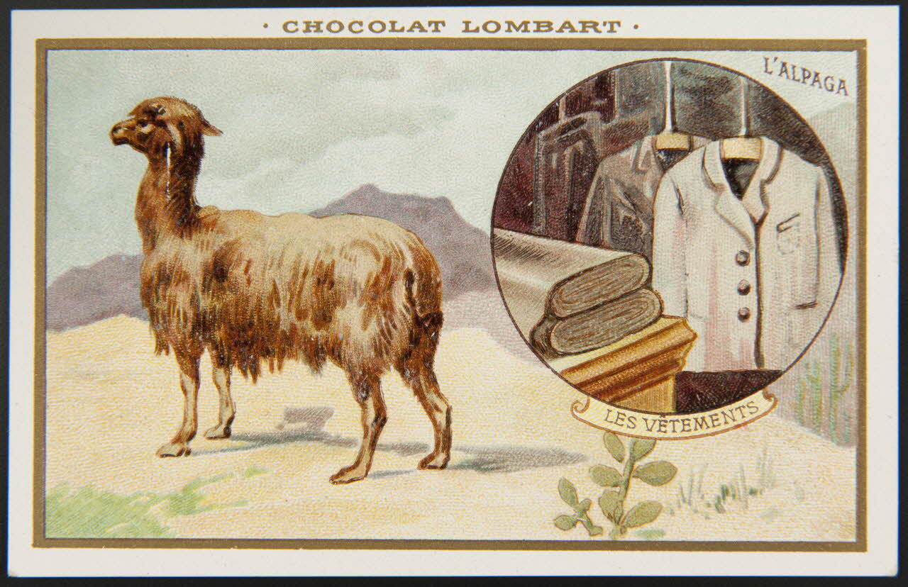 carte réclame chromo 1995.1.4252.2 Photo