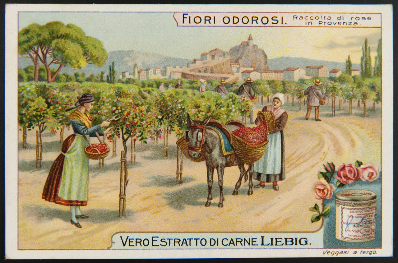 carte réclame chromo Paris 1911 1995.1.4256.1 Photo