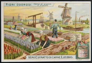 carte réclame chromo Paris 1911 1995.1.4256.2 Photo