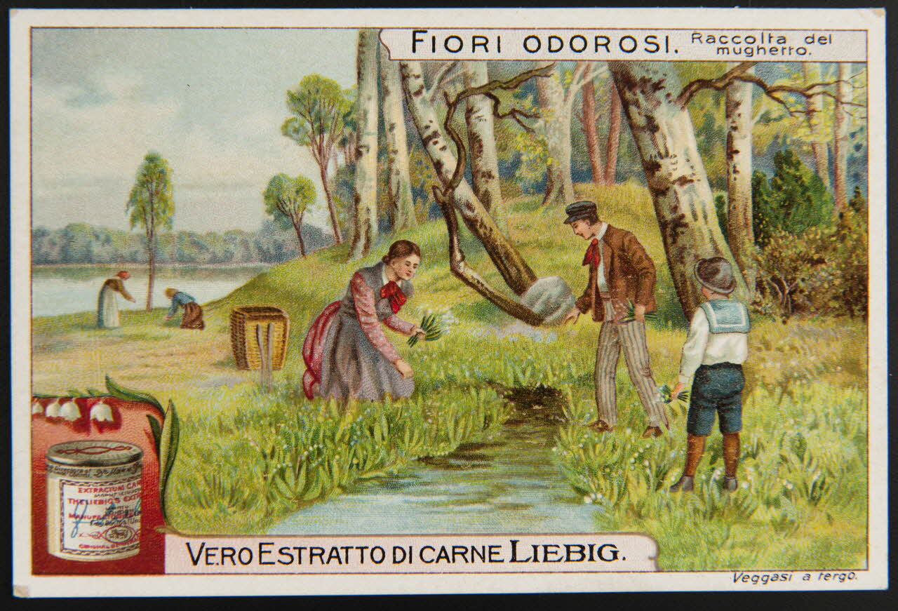 carte réclame chromo Paris 1911 1995.1.4256.3 Photo