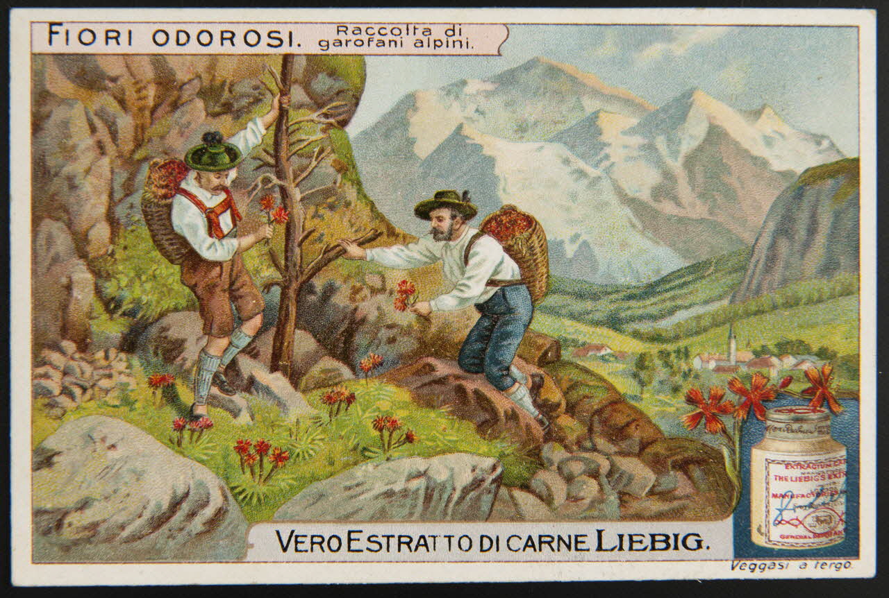 carte réclame chromo Paris 1911 1995.1.4256.4 Photo