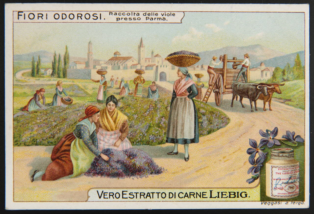 carte réclame chromo Paris 1911 1995.1.4256.5 Photo