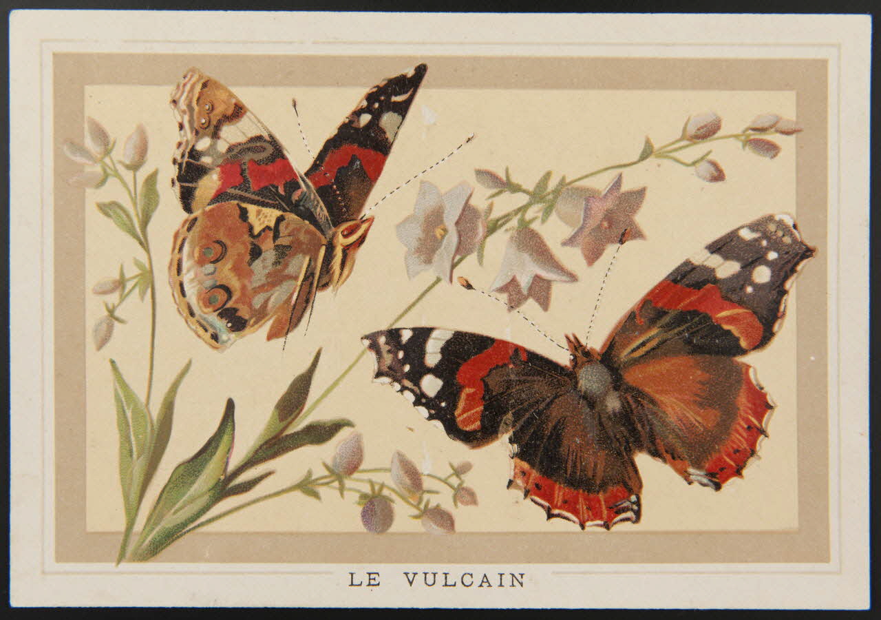 Jehenne (éditeur), Pacon L. carte réclame chromo Paris 1886-1889 1995.1.4299.10 Photo