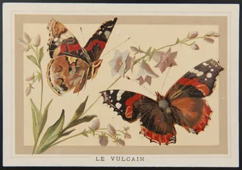 Jehenne (éditeur), Pacon L. carte réclame chromo Paris 1886-1889 1995.1.4299.10 Photo