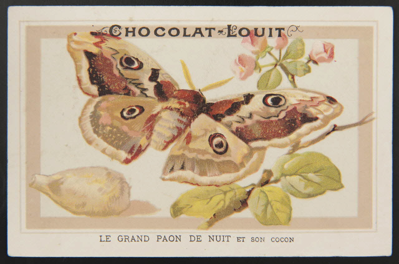 carte réclame chromo 1995.1.4299.13 Photo