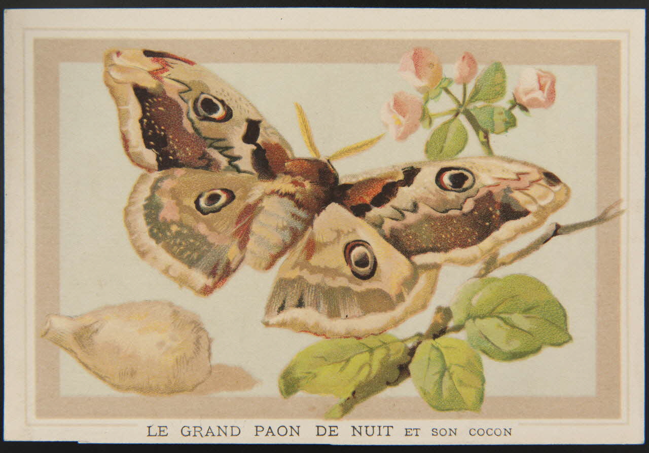carte réclame chromo 1995.1.4299.5 Photo