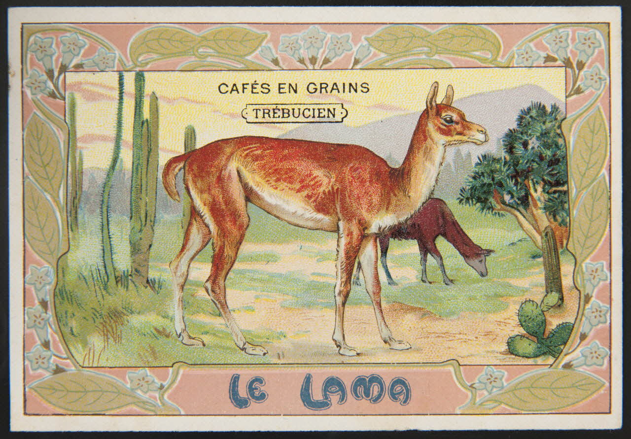 Jehenne / B. Sirven carte réclame chromo Toulouse-Paris 1895-1935 1995.1.4301.10 Photo