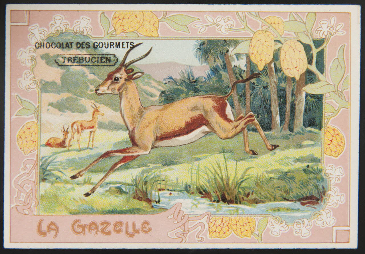 Jehenne / B. Sirven carte réclame chromo Toulouse-Paris 1895-1935 1995.1.4301.6 Photo