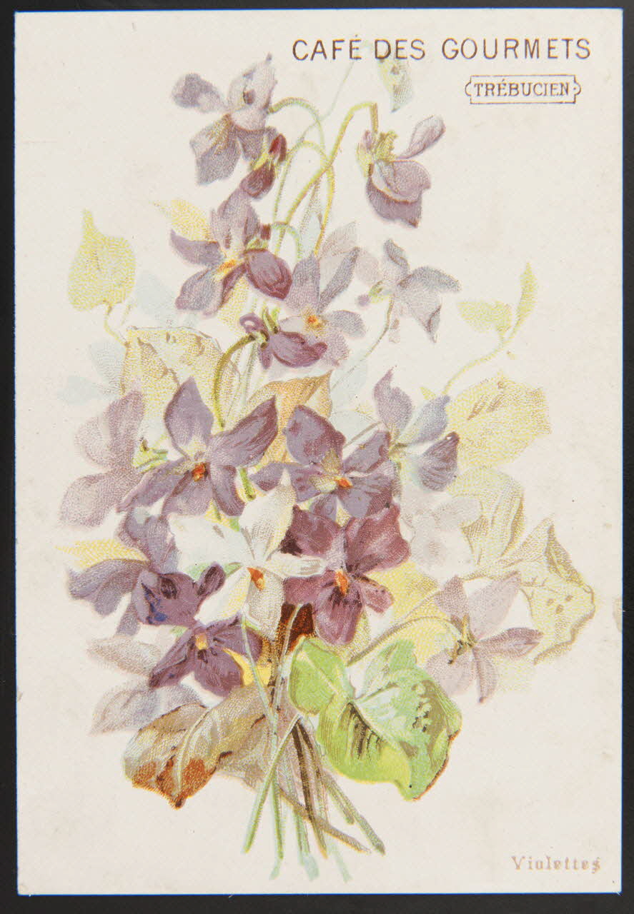 Jehenne / B. Sirven carte réclame chromo Toulouse-Paris 1895-1935 1995.1.4302.1 Photo