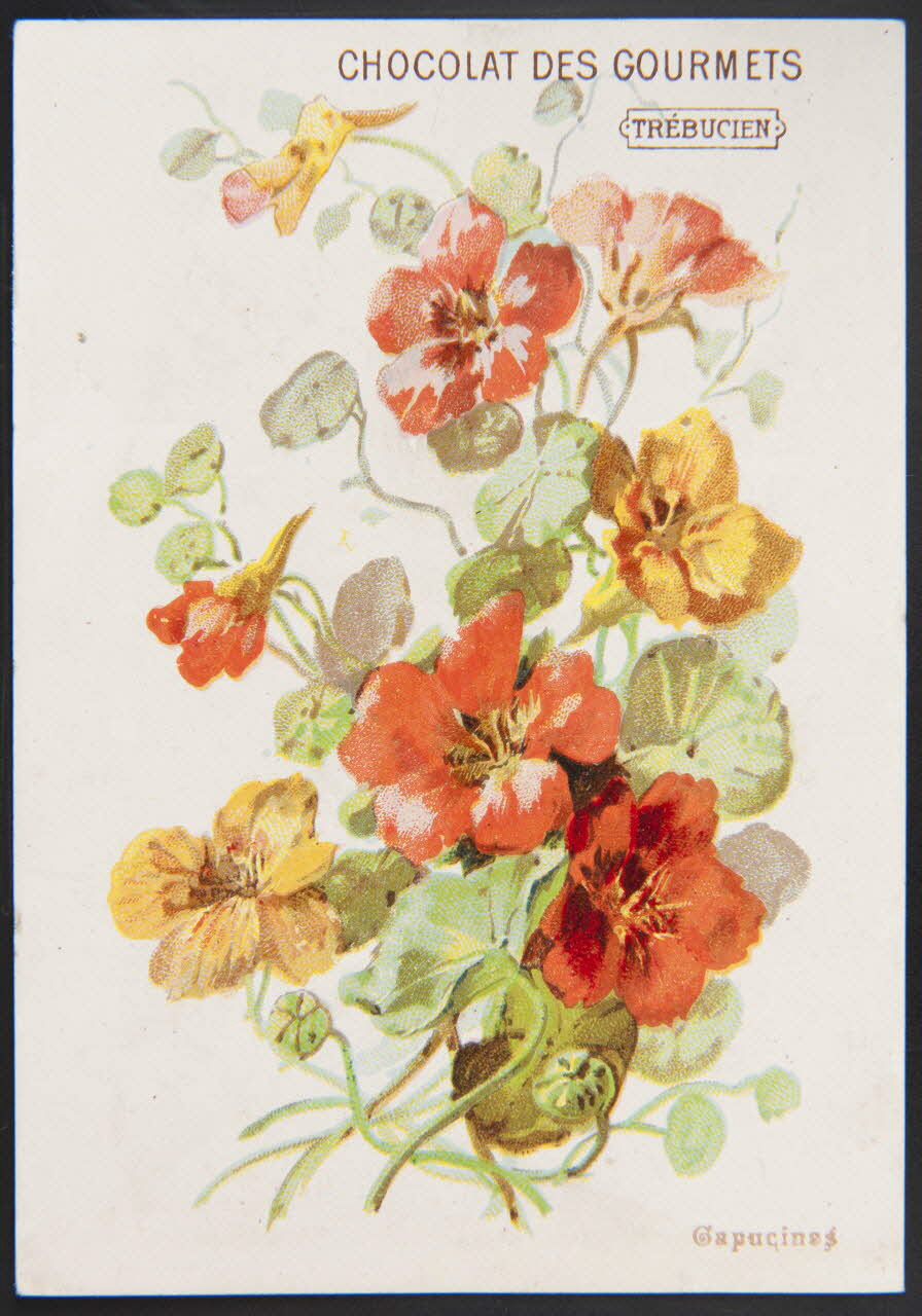 Jehenne / B. Sirven carte réclame chromo Toulouse-Paris 1895-1935 1995.1.4302.5 Photo