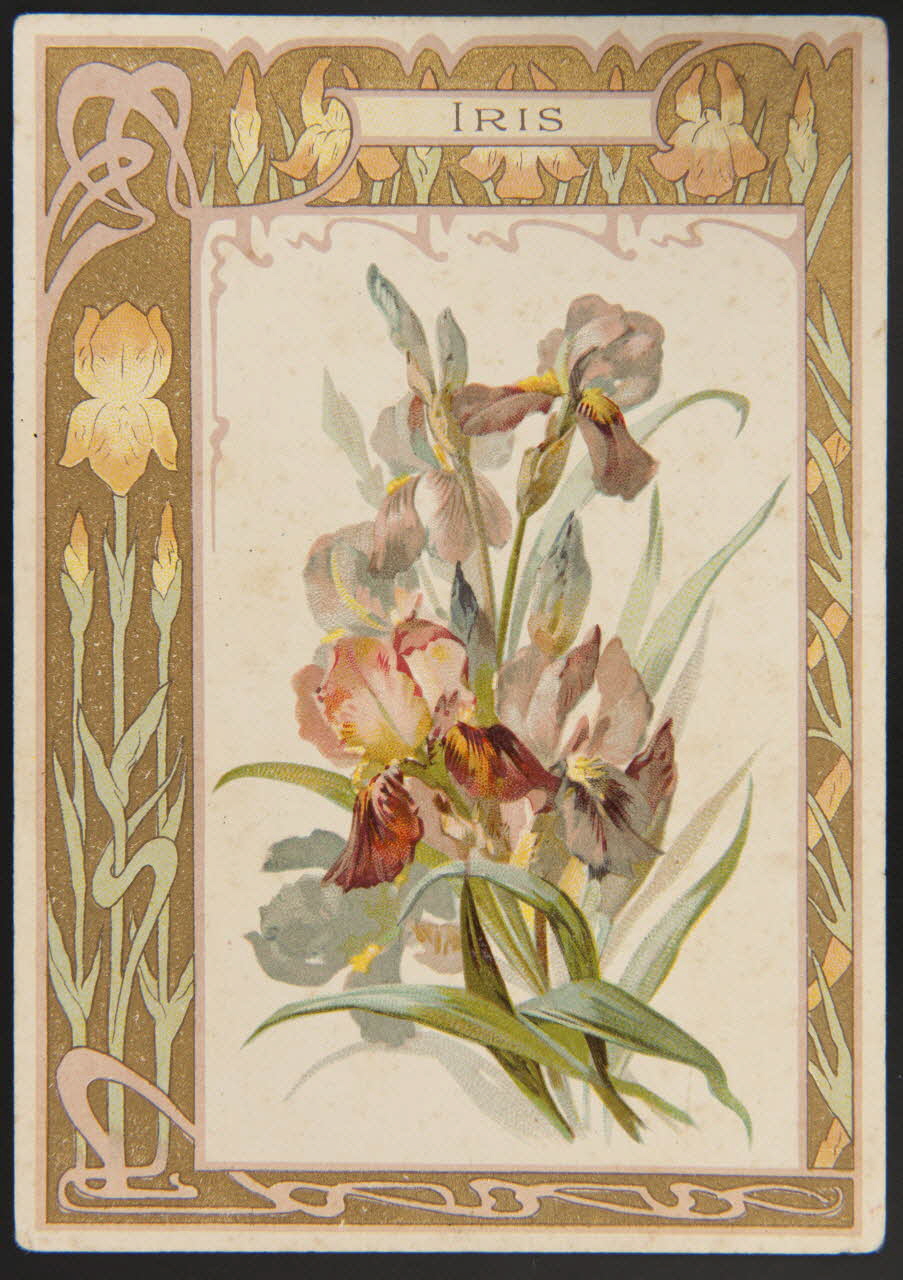 carte réclame chromo 1995.1.4303.11 Photo