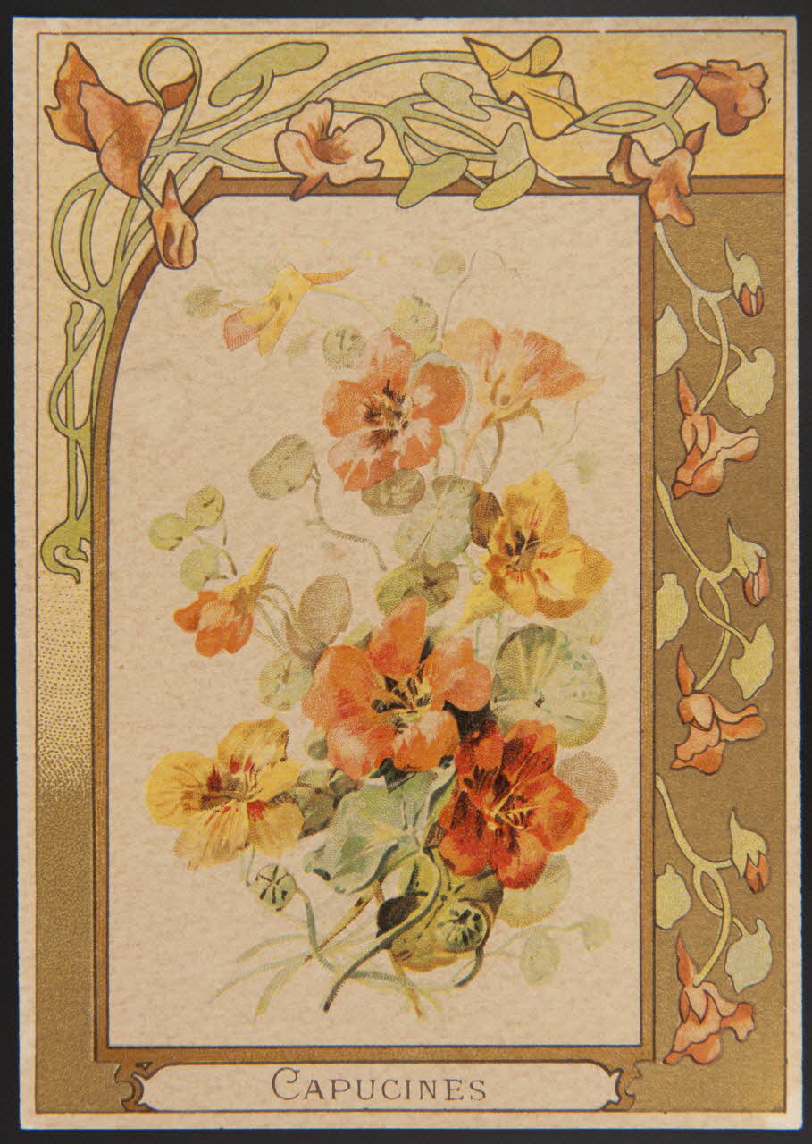 carte réclame chromo 1995.1.4303.3 Photo