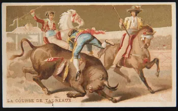 Testu & Massin ; Champenois et Compagnie carte réclame chromo Paris 1888-1889 1995.1.4317.3 Photo