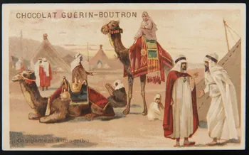 Testu & Massin ; Champenois et Compagnie carte réclame chromo Paris 1888-1889 1995.1.4322.1  Photo
