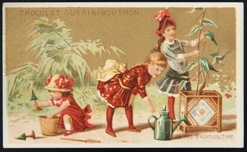 Testu & Massin ; Champenois et compagnie carte réclame chromo Paris 1888-1889 1995.1.4341.6 Photo