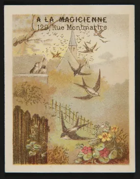 Testu & Massin carte réclame chromo Paris 1876-1903 1995.1.4371.1 Photo