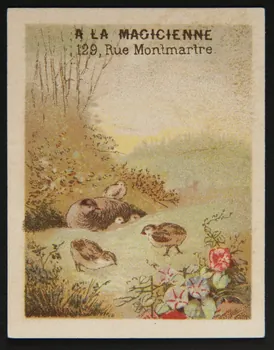 Testu & Massin ; Champenois et compagnie carte réclame chromo Paris 1888-1889 1995.1.4371.2 Photo