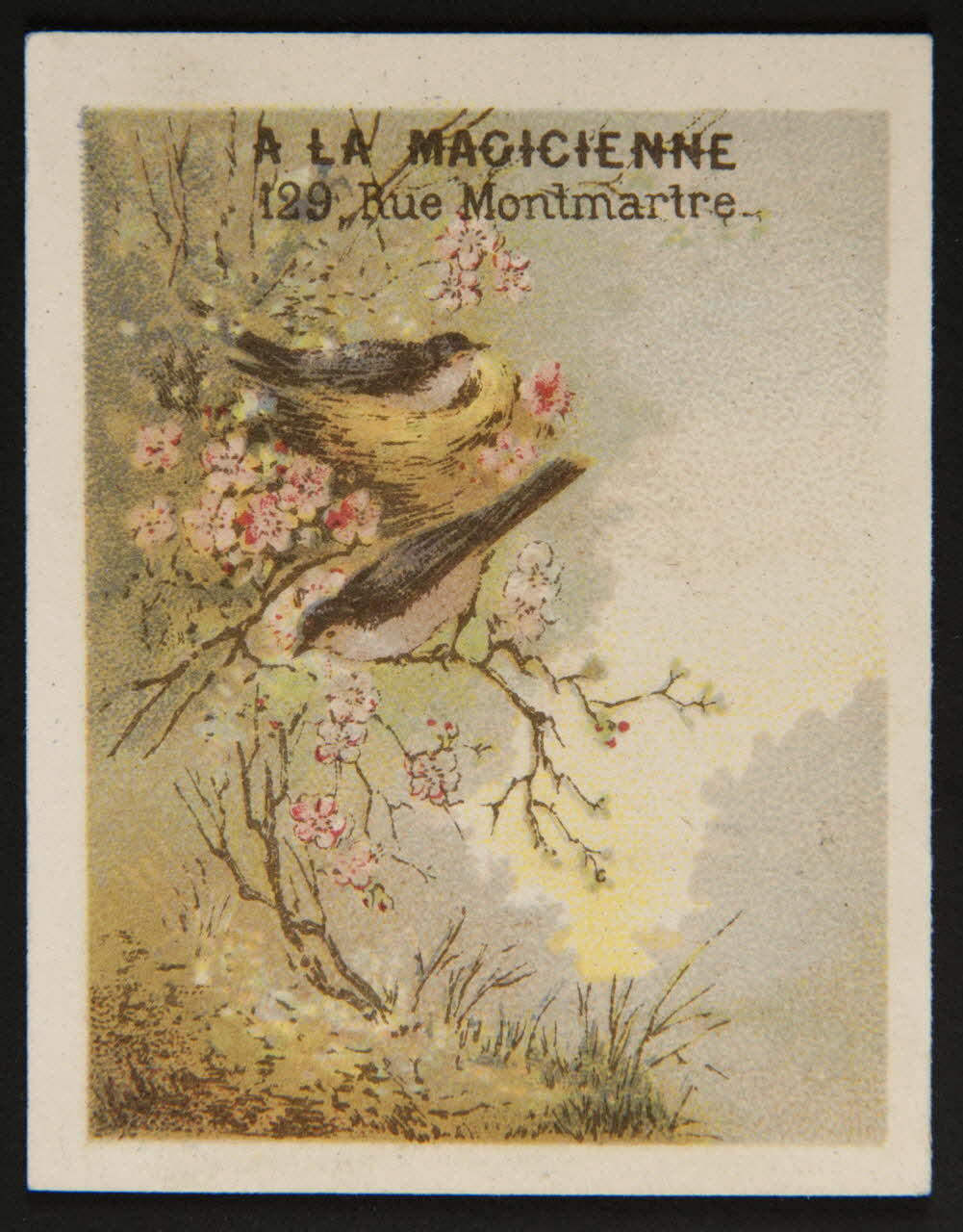 Testu & Massin carte réclame chromo Paris 1876-1903 1995.1.4371.3 Photo