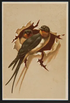 Testu & Massin ; Champenois et compagnie carte réclame chromo Paris 1879-1886 1995.1.4373.1 Photo