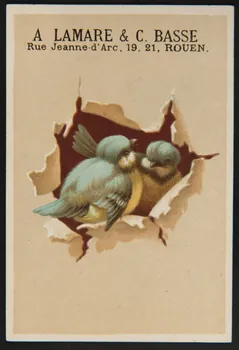 Testu & Massin carte réclame chromo Paris 1876-1903 1995.1.4373.2  Photo