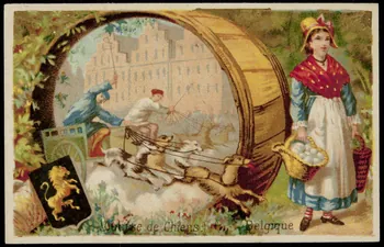 Testu & Massin carte réclame chromo Paris 1878-1903 1995.1.4385.8 Photo