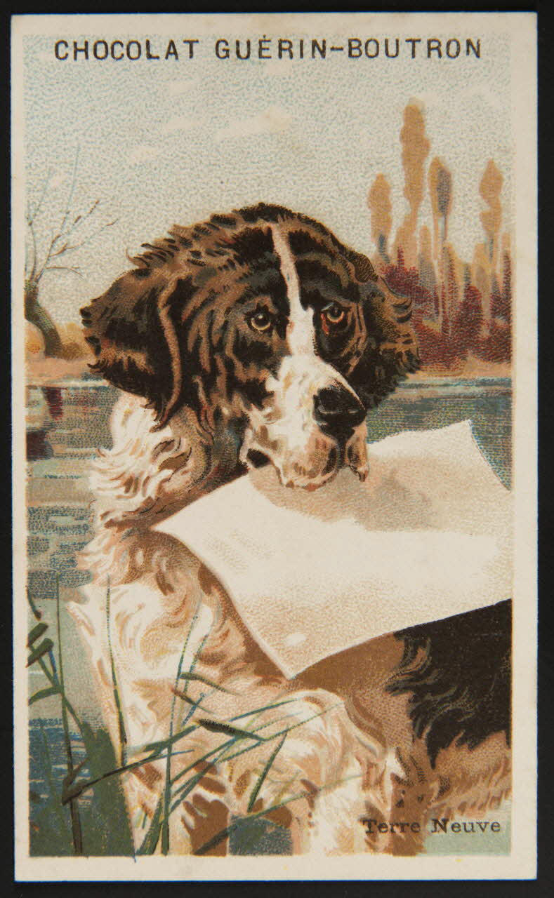 Testu & Massin carte réclame chromo Paris 1888-1889 1995.1.4427.5 Photo