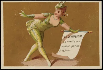 Testu & Massin carte réclame chromo Paris 1876-1878 1995.1.4429.4  Photo