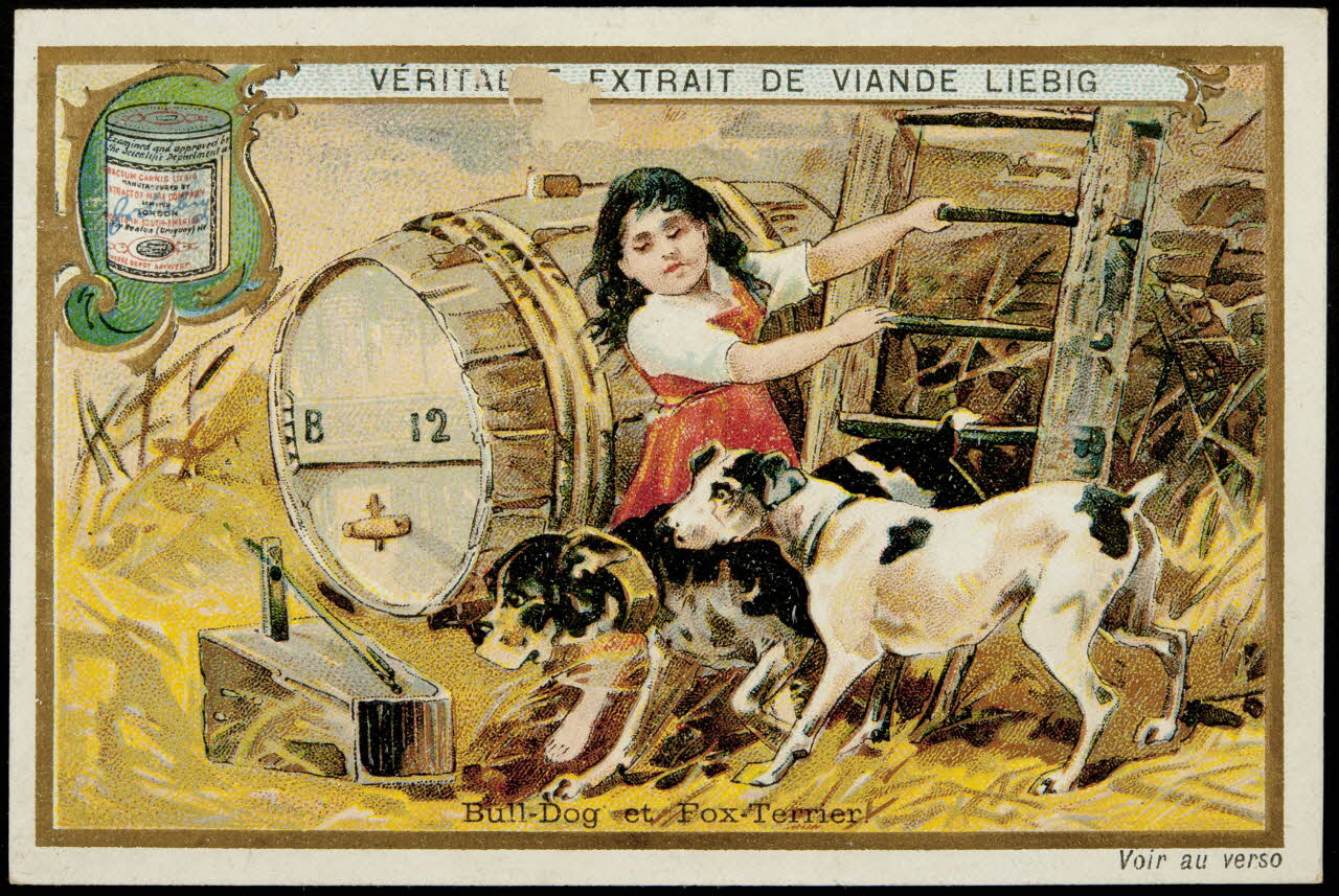 carte réclame chromo 1995.1.4613.1 Photo